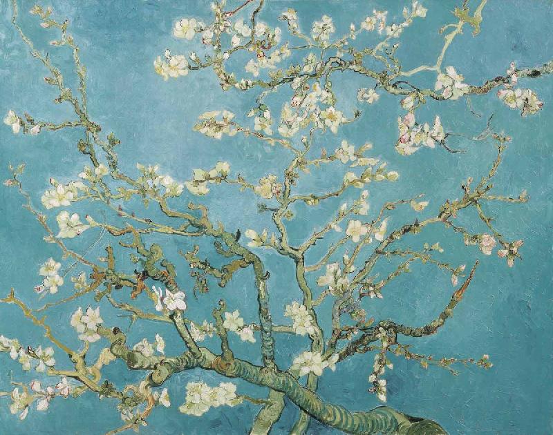 Vincent Van Gogh Almond Blossoms oil painting image